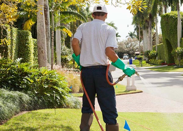 About Cygnet OH Pest Control